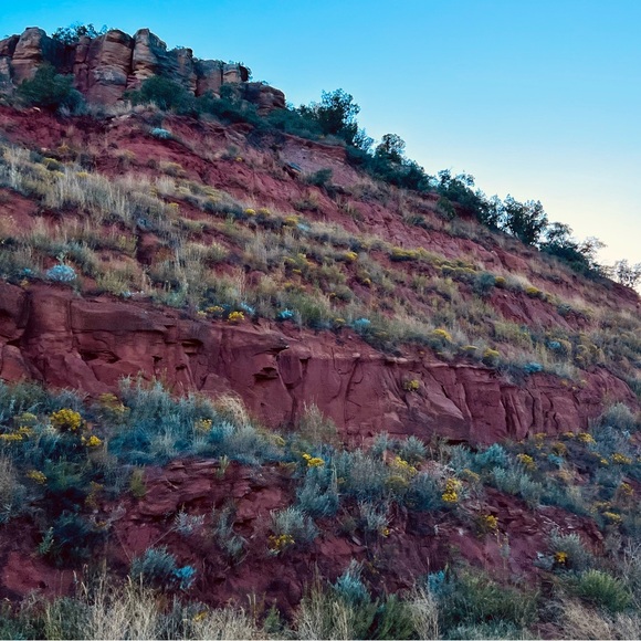 Hi Y’all, I’m Logan! 👋🏻 - Picture 2 of 6